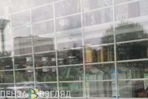 Житель Сердобского района попытался украсть из магазина алкоголь и корм для кошек