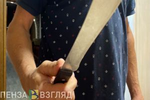 В Пензенской области возбуждено уголовное дело против мужчины, грозившего зарезать жену