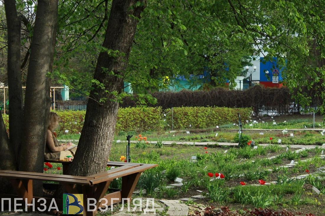 20 июня в Пензенской области прогнозируют +22 градуса и переменную облачность