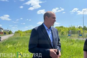 Жители пензенской Зари попросили решить проблему с зарастанием микрорайона травой