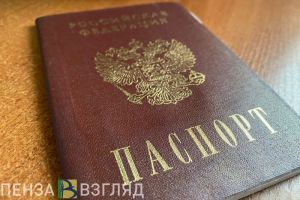 Пензенцы узнали, планируется ли введение допуска в интернет по паспорту