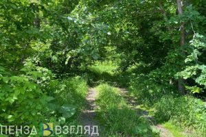 В Пензенской области организованы поиски пропавшего 34-летнего мужчины