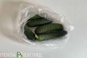 Стала известна средняя цена окрошки в Пензенской области в 2023 году