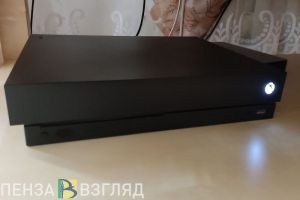 В Пензенской области преступник прикинулся геймером, чтобы получить деньги