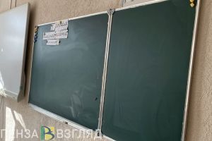 Пензенцы узнали, как будет выглядеть новая серебряная медаль для выпускников
