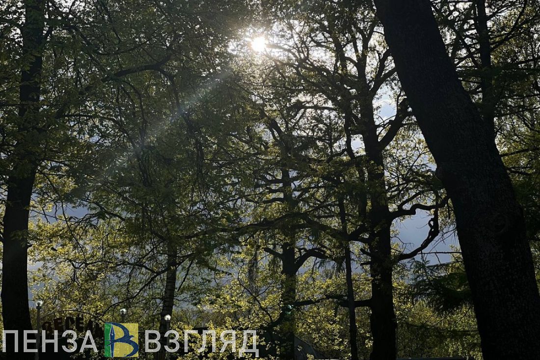 С марта в Пензенской области от укусов клещей пострадали 290 детей