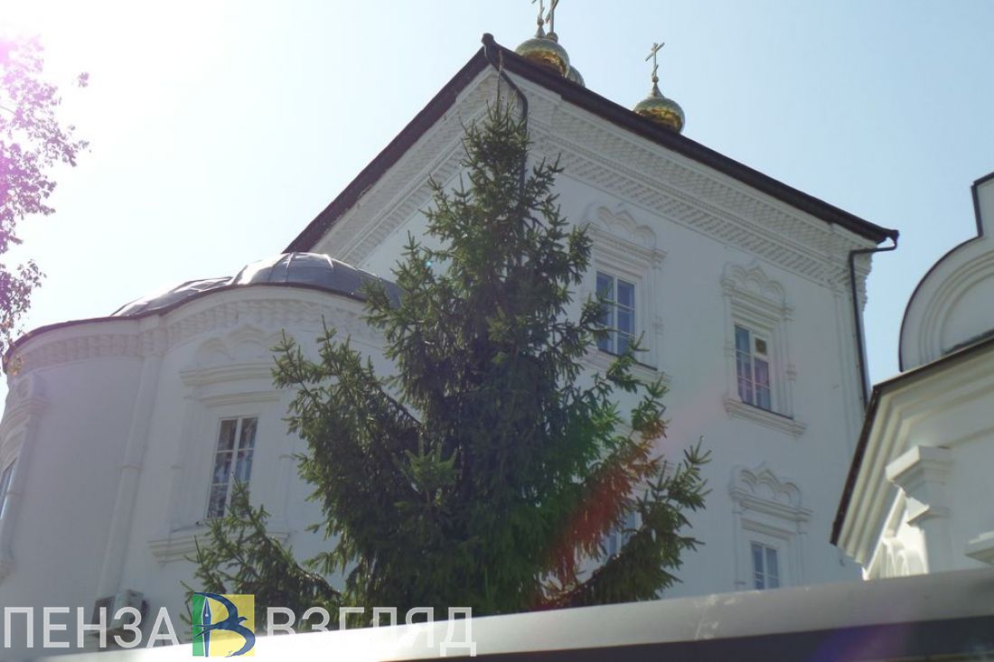 Завтра в Пензу прибудут мощи старицы Матроны Московской
