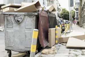 Пензенцы узнали, когда начнет работать система автоматического контроля вывоза мусора