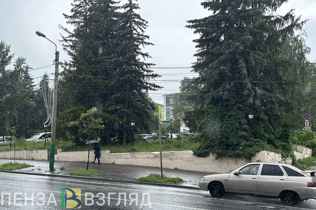 В воскресенье в Пензенской области будет сильный дождь и гроза