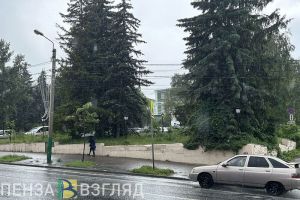 В воскресенье в Пензенской области будет сильный дождь и гроза