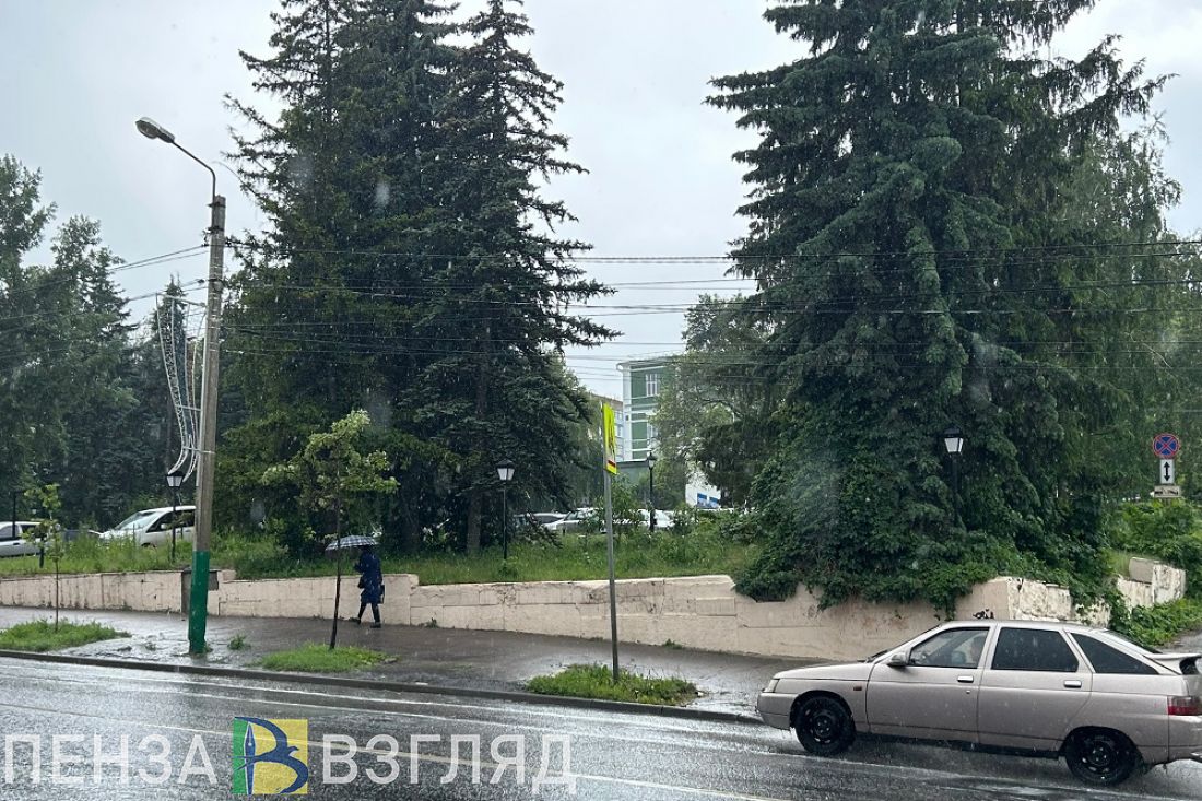 В понедельник в Пензенской области ожидается +25 градусов и кратковременный дождь