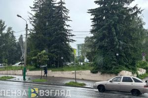 В понедельник в Пензенской области ожидается +25 градусов и кратковременный дождь