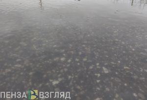 «Гейзер» и «море»: пензенцы сняли подтопленный ливнем город на видео