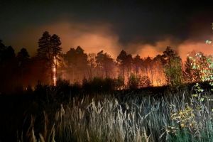 В Вадинском районе потушили лесной пожар на площади 10 гектаров