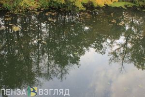 Бессоновский браконьер, отлавливавший рыбу в зоозаказнике, попытался дать взятку полицейскому