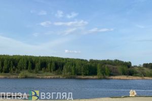 В Пензенской области СК проводит проверку по факту смерти 16-летнего подростка, отдыхавшего на пляже