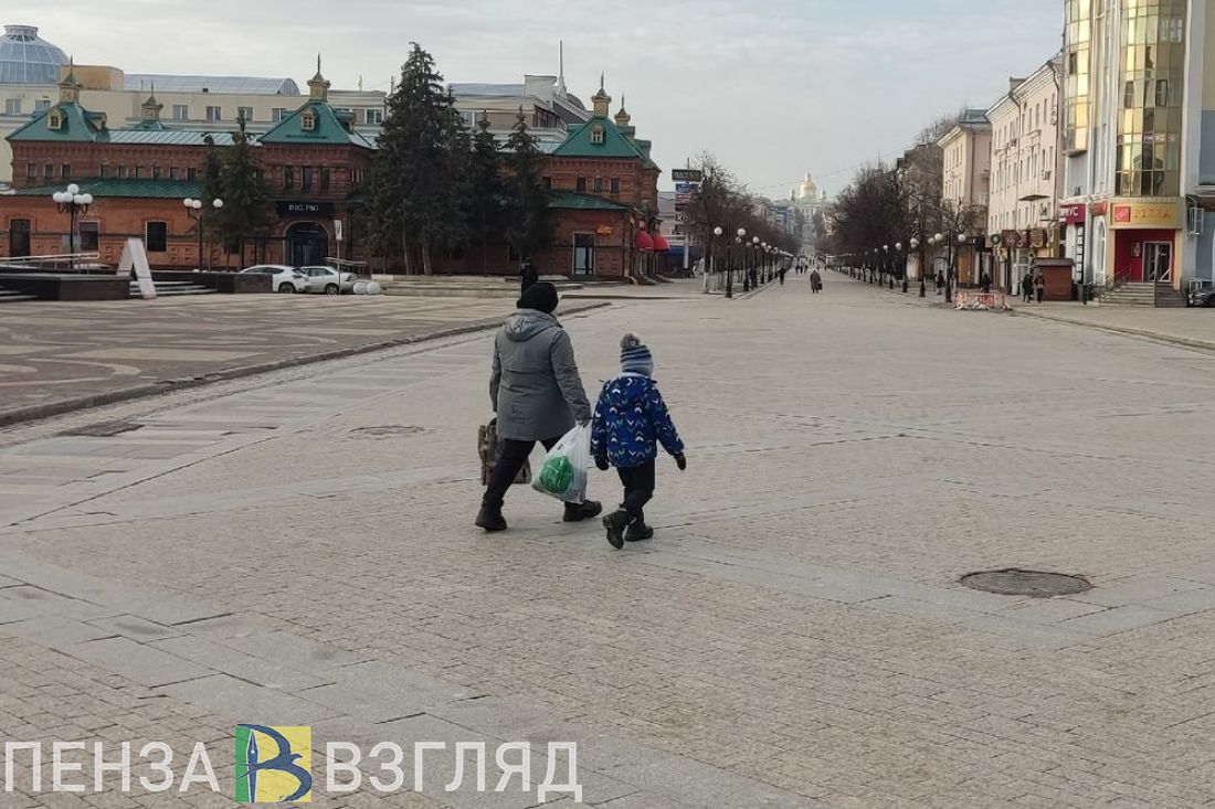 Власти могут замерить «глубину» бедности семей в Пензенской области