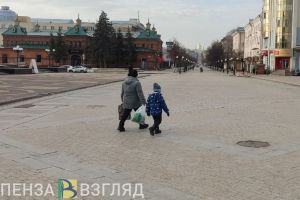 Власти могут замерить «глубину» бедности семей в Пензенской области