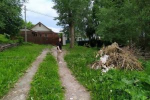 Пензенцев из частных домовладений попросили убирать территорию