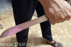 Житель Каменского района осужден за нанесение 13 ударов ножом своей знакомой
