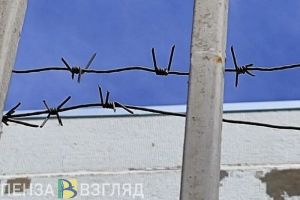 Житель Бессоновского района проведет несколько лет в тюрьме за жестокое избиение знакомой