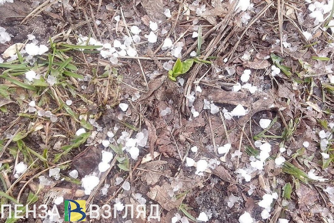 29 июня в Пензенской области возможен град