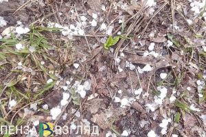 29 июня в Пензенской области возможен град