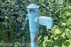 В единственном для пензячки источнике воды ее нет несколько недель