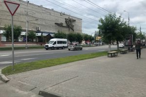 Названа причина, по которой в центре Пензы не будут сажать новые деревья
