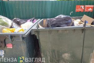 Зареченцам рассказали, куда сообщать о свалках крупногабаритного мусора