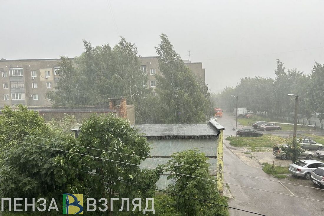 Пензенцев предупредили о возможном дожде и грозе 1 июля