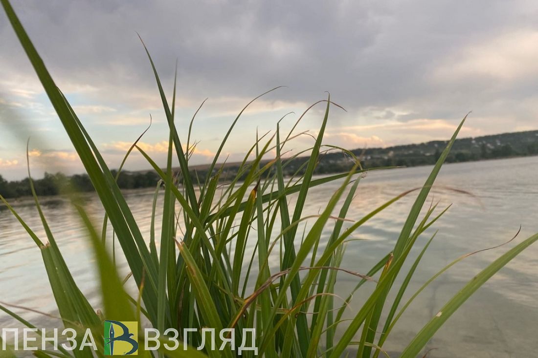 Пензенцам объяснили, почему пьяные тонут «даже в луже»