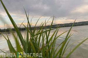 Пензенцам объяснили, почему пьяные тонут «даже в луже»