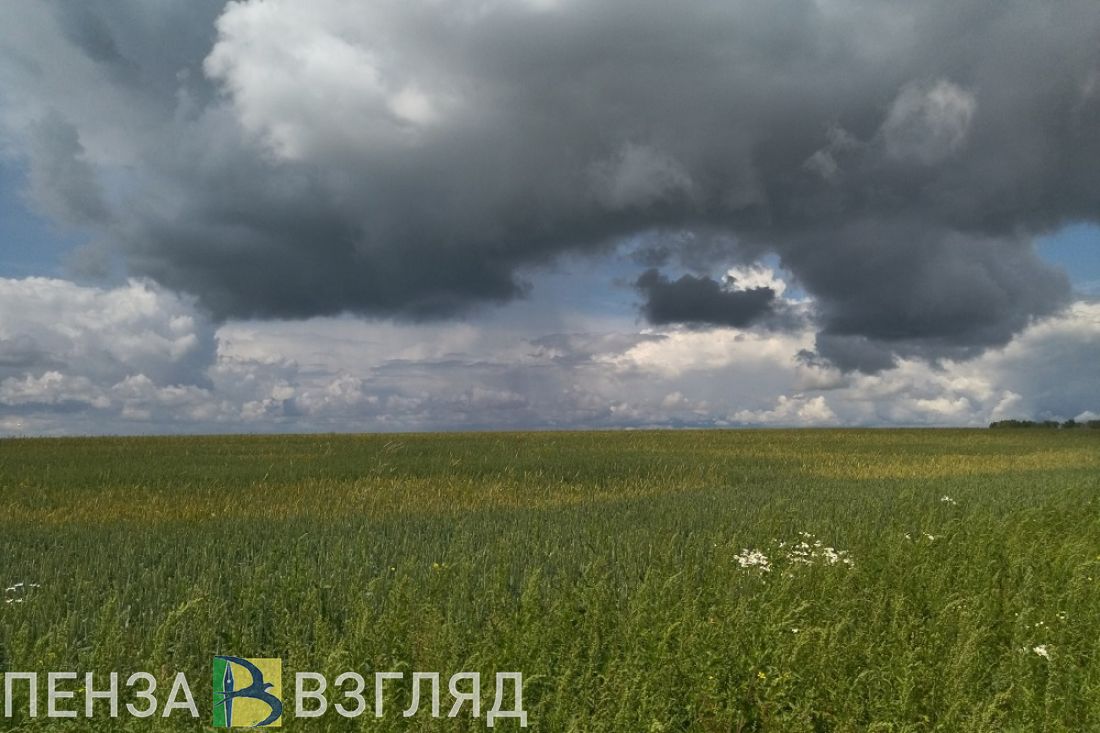 В Пензе в понедельник ожидается +25 градусов и дождь