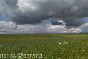 В Пензенской области во вторник потеплеет до +28 градусов
