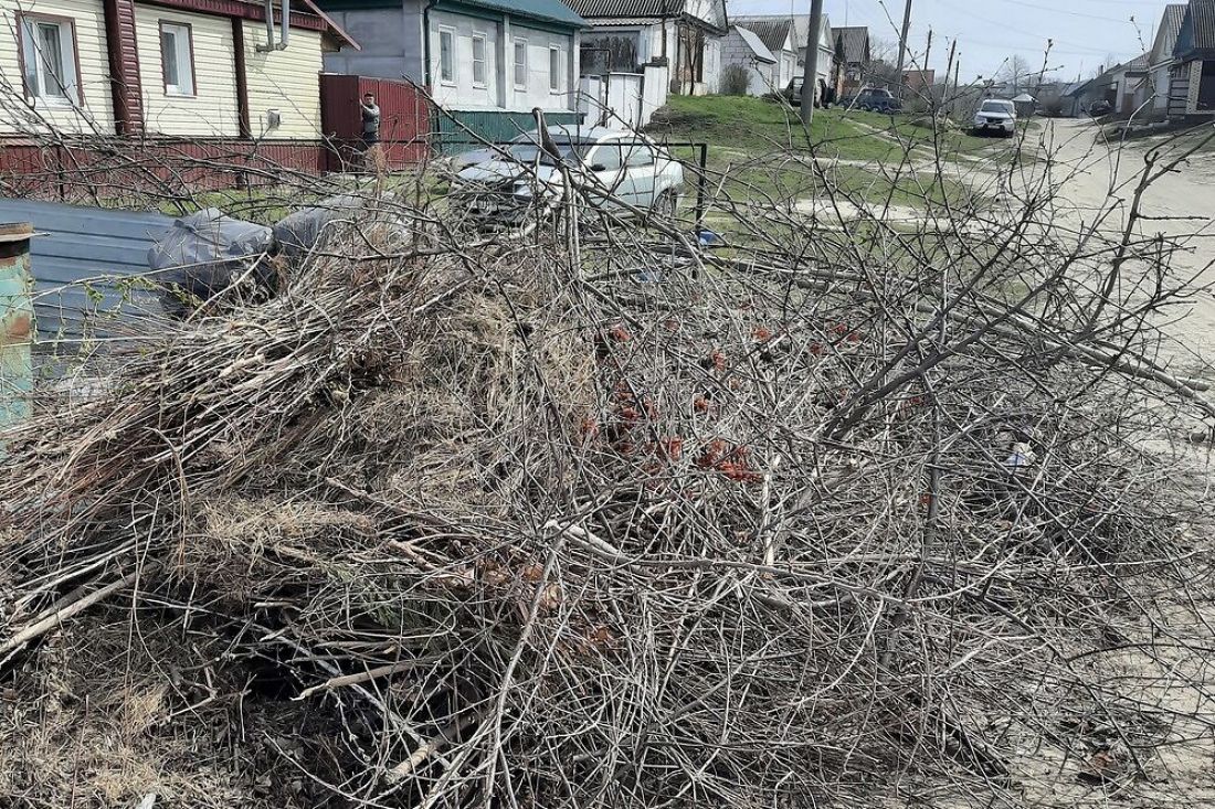 В Пензенской области ликвидировали очередную несанкционированную свалку