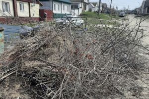 В Пензенской области ликвидировали очередную несанкционированную свалку