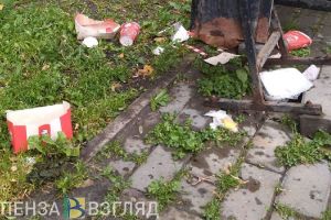 Суд обязал власти Колышлейского района ликвидировать незаконную свалку