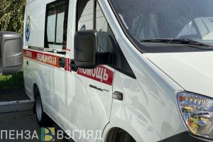 Соцсети: на Олимпийской аллее в Пензе умерла девочка