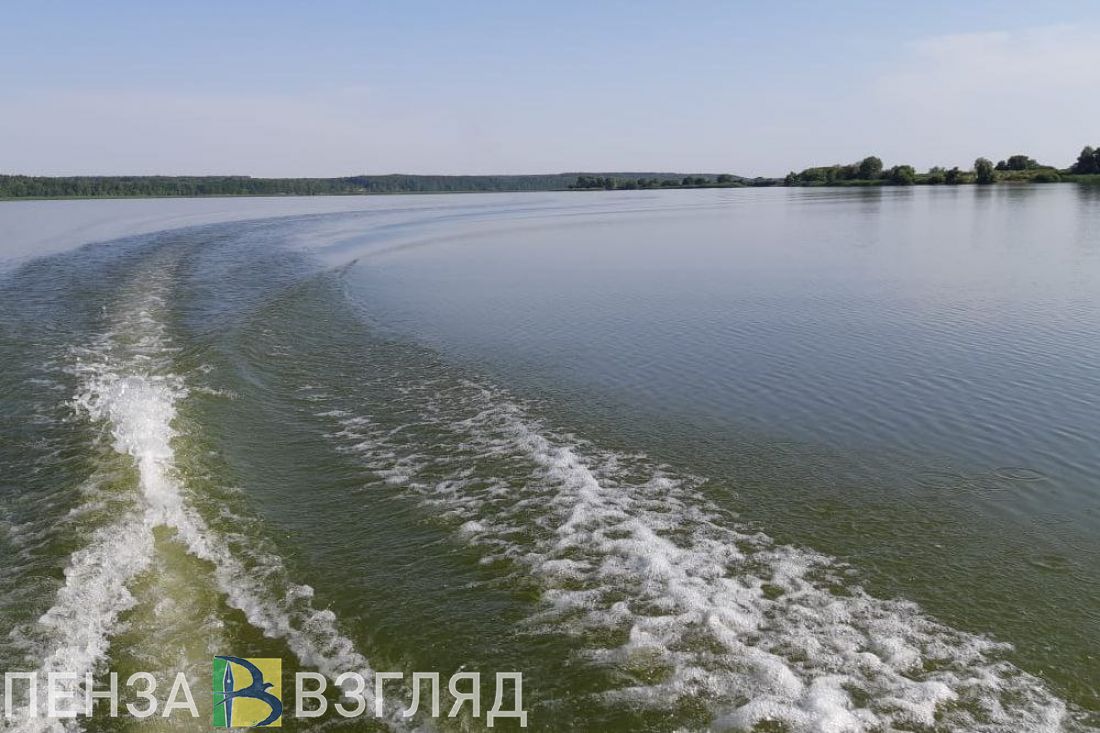 Берег Сурского водохранилища