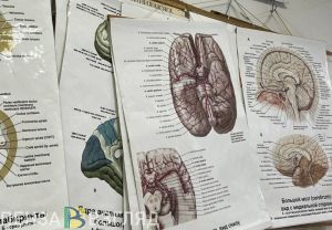 В Пензе преподаватель мединститута поставила 14 студентам «липовые» оценки за деньги