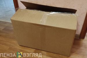 Пензенцам объяснили, можно ли заразиться менингитом через посылки