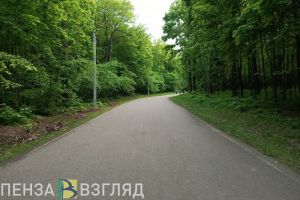 В Пензе организована проверка по факту смерти 5-летней девочки на прогулке