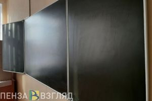 Пензенцы узнали, что большинство россиян не одобряют ЕГЭ