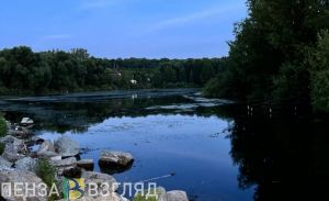 Тело в водоеме, перекрытие дороги и смертельное ДТП: новости Пензы и области за 8 июля