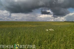 Пензенцев предупредили о желтом уровне погодной опасности 9 июля