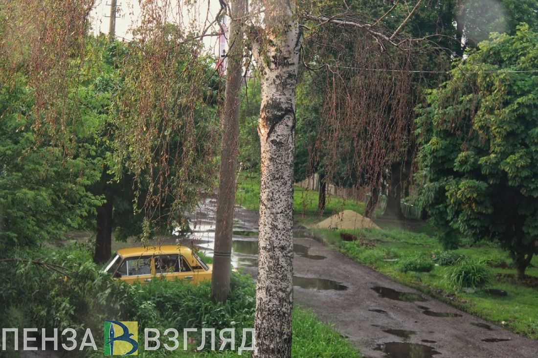 В воскресенье в Пензенской области прогнозируется небольшой дождь