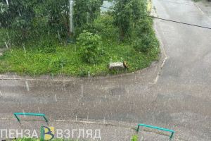 Предупреждение о грозе, распространение кори, нелюбимые остановки - новости Пензенской области за 9 июля