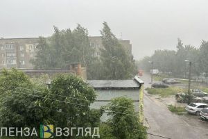 11 июля в Пензенской области прогнозируется желтый уровень погодной опасности