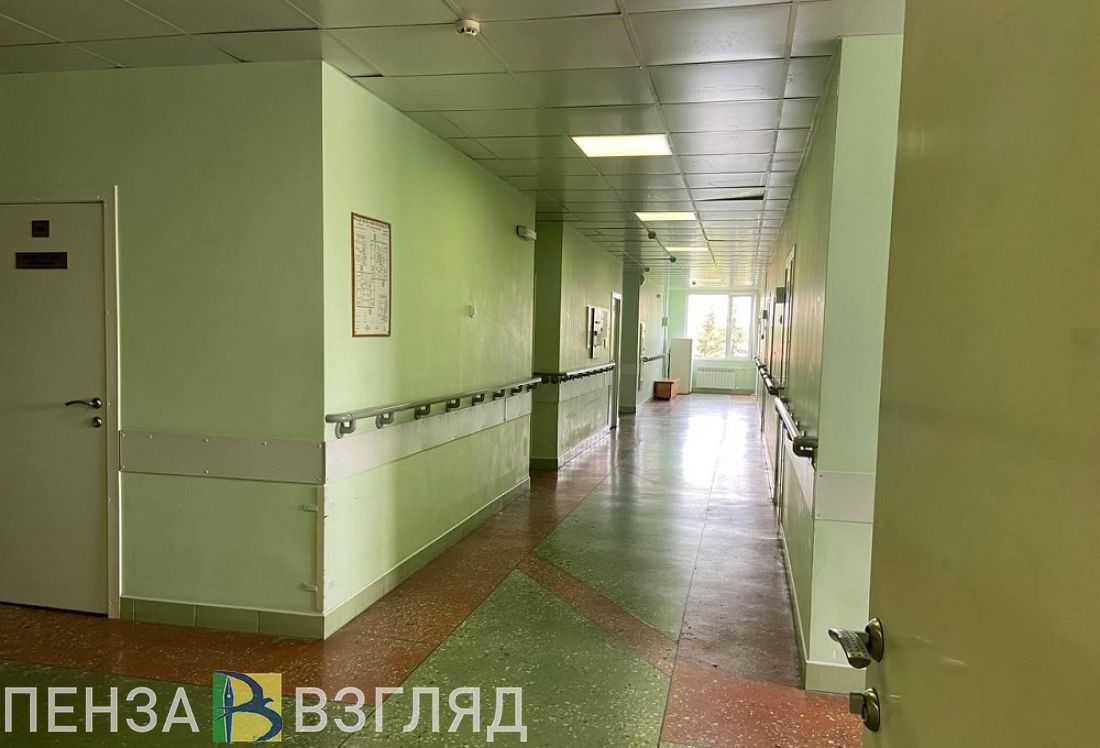 Воробьева расскажет пензенцам, какие еще инфекционные болезни сейчас кажутся особенно опасными